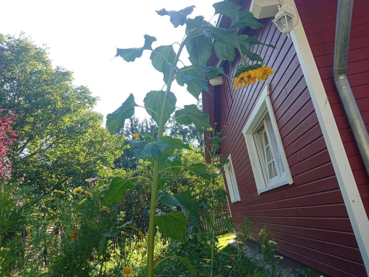 Ferienhaus Am Wald Wippra Esterno foto