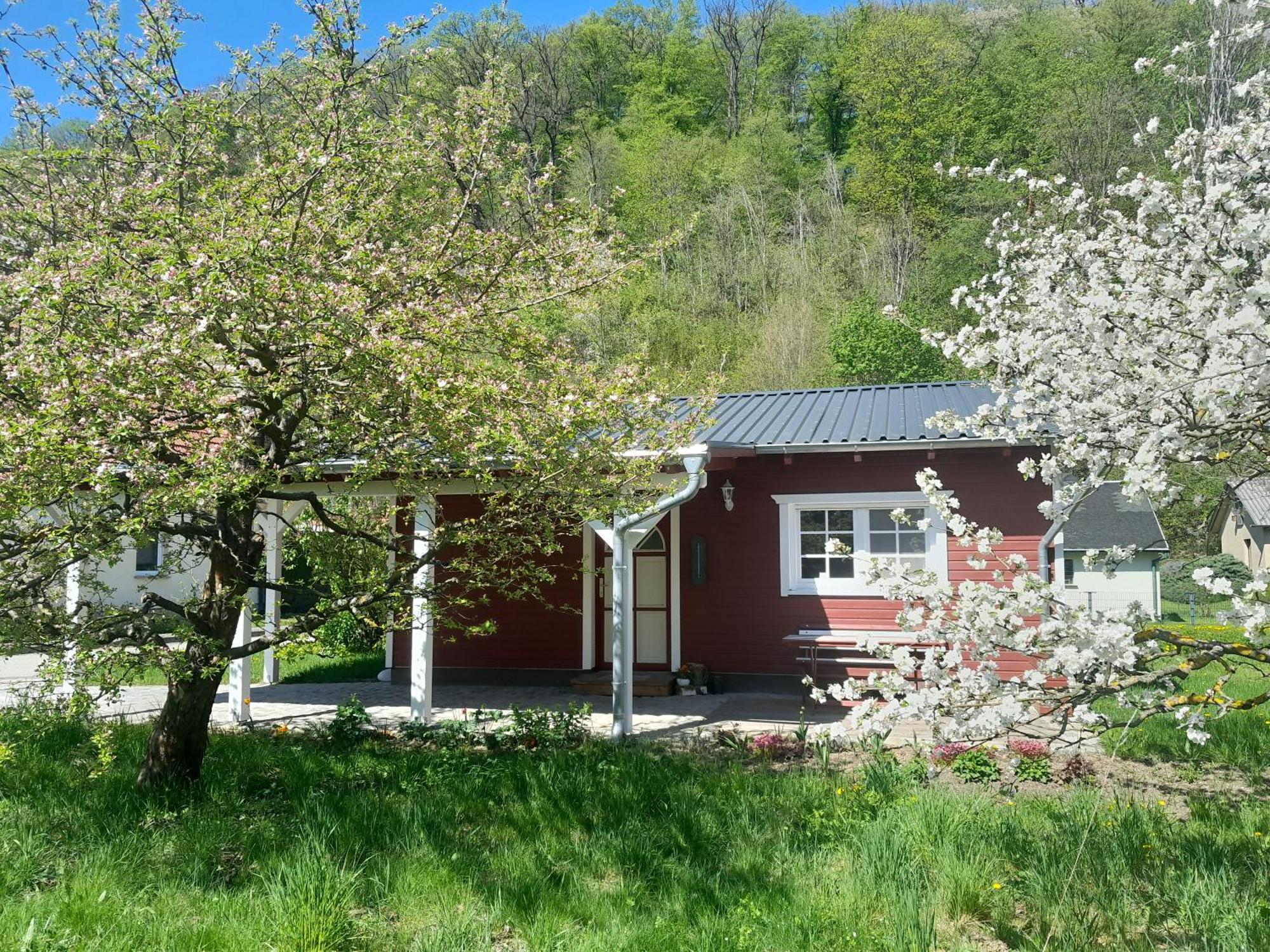 Ferienhaus Am Wald Wippra Esterno foto